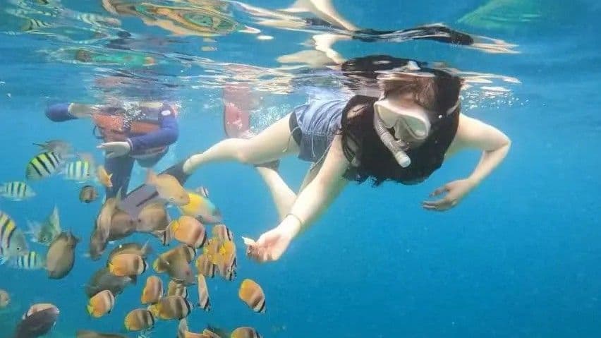 浮潜