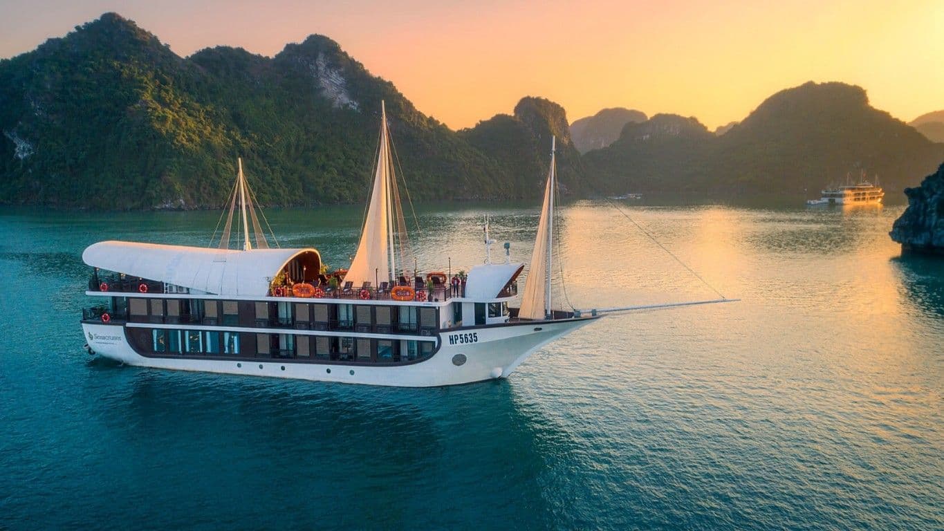 下龙湾五星游船 | Sena Cruise