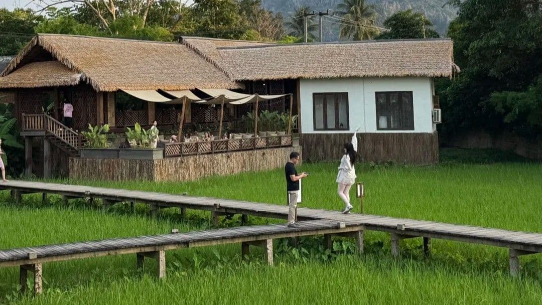 万荣稻田