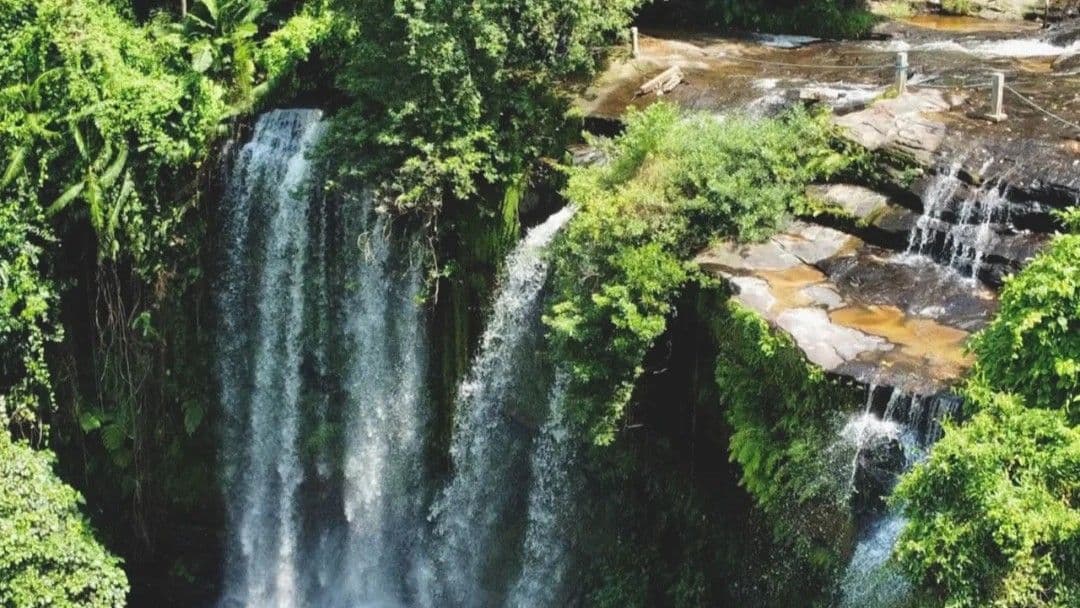 荔枝山